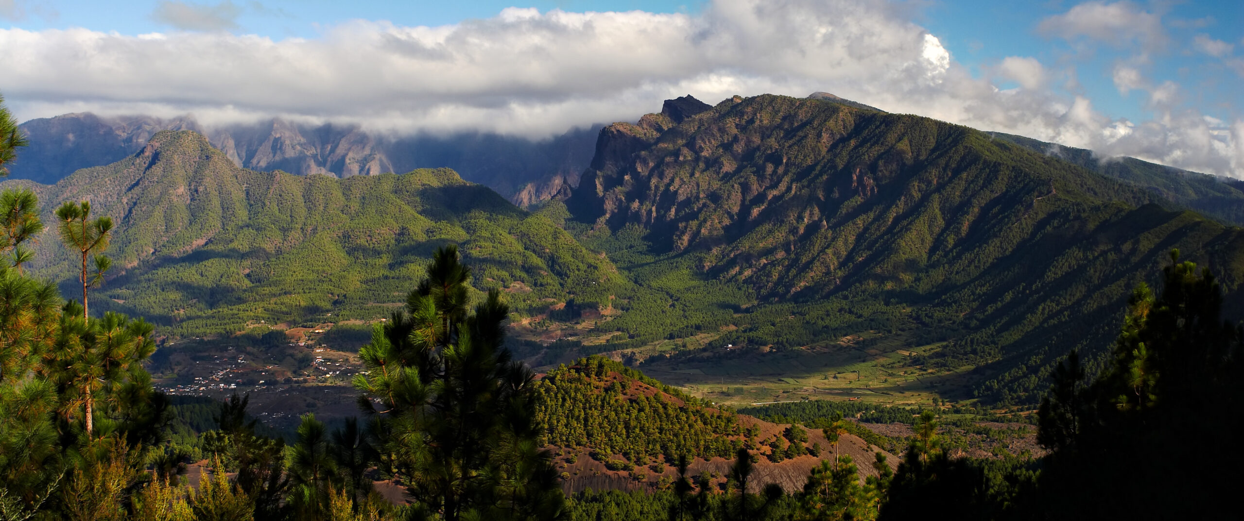 Canarias en furgoneta