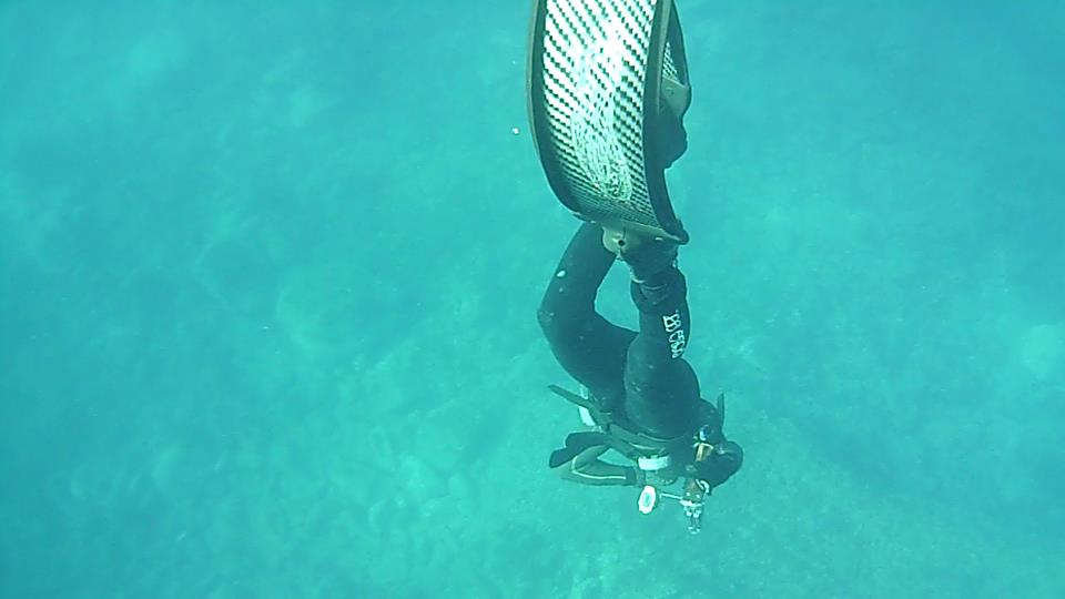 Fuerteventura freediving